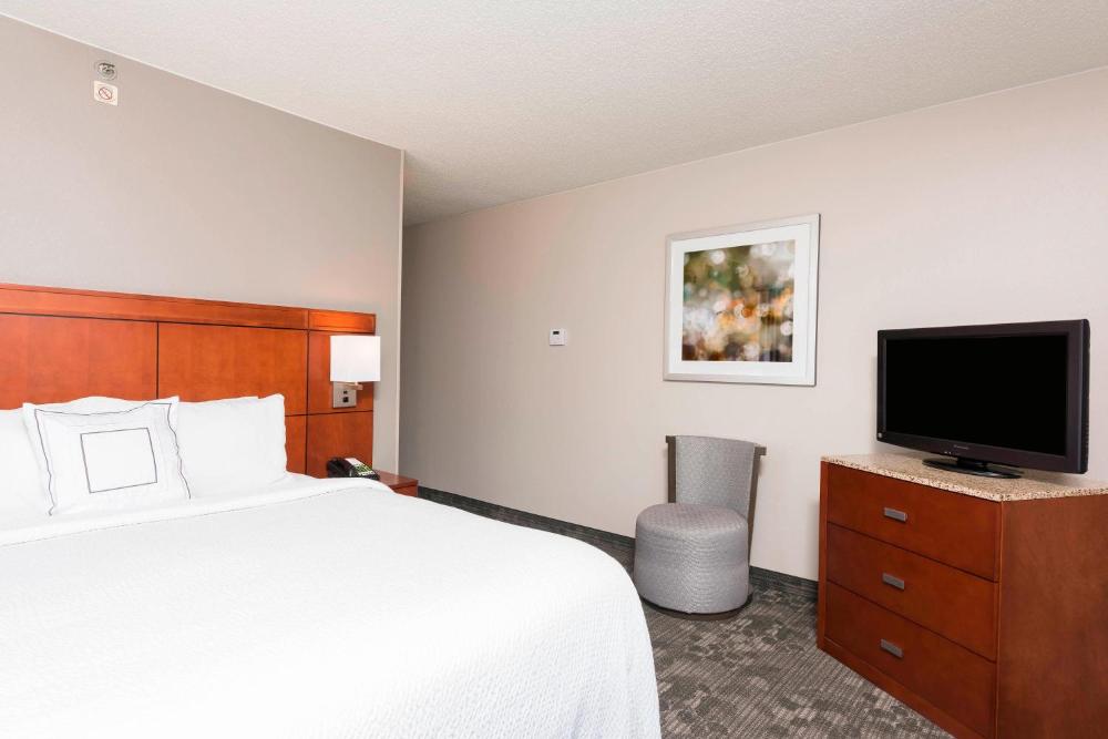 Suite, 1 King, Sofa bed interior